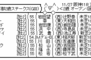 11/27(土) 第8回ラジオNIKKEI杯京都2歳ステークス