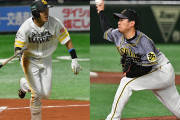 プロ野球人気低下と言われているけど