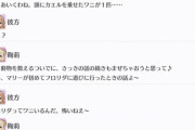 鞠莉ちゃん、彼方ちゃんが眠れないほど楽しい話をする【毎日劇場】