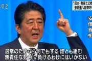 安倍首相、統一教会会長と面談www萩生田も同席wwwネトウヨさん…