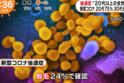 コロナ後遺症…24％に脱毛症状、トンカツ食べてもゴムの味　東京都会議で報告