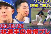 中日・岡林が立浪和義監督に逆ギレか　ベンチで手袋を思い切り投げ捨てる