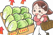 野菜が食べたい！！！