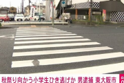 老害「逃げれば何もなかったことにできると考えた」横断歩道を渡る小学生の列に赤信号無視してノーブレーキで突っ込みひき逃げした老害逮捕