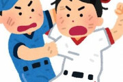 野球の乱闘部分だけのゲームあっていいよな
