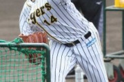 阪神・チェン　28日ヤクルト戦で虎デビュー　矢野監督「どういうパフォーマンス見せてくれるかな」