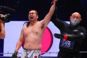 シバター、元K-1王者に勝利ｗｗｗｗｗｗｗw