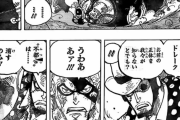 【悲報】ワンピースのワノ国編、終わる気配がないｗｗｗｗｗｗｗｗｗ