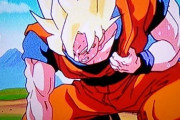 【ドラゴンボール】バカ「仙豆じゃ心臓病はは治らねえ」ワイ「あのさあ」