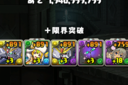 【パズドラ】＋891楽になりすぎたら必須になるから今のままでいいっす