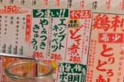 【鳥刺しにも挑戦】焼き鳥食べに来た！！！