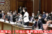 【立憲民主党】小西洋之氏、「あからさまな嘘はいけないって言ってるよすぐに。不当に音声消されてる」森ゆうこ氏「ディープフェイクだよ」“嘘でいいから”発言指摘に野次（国会動画）