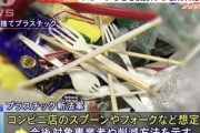 【？？？】小泉進次郎「スプーンが有料化されれば、マイスプーンを持ち歩く人が増えていく」