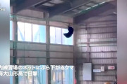 【山形】ついに地上10mのネットでSASUKEする熊が現れる