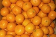一人暮らしがみかん5kg買った結果ｗｗｗ