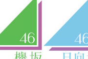 【悲報】欅坂46と日向坂46の所属事務所、ブラック企業だった...