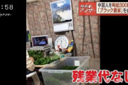 夕張メロン「技能実習生が来日できないからメロン8万玉減産するんよ。日本人は来てくれないんよ」