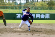 ハムファンは伊藤を一本釣りできるよう神様にお願いしとけよ