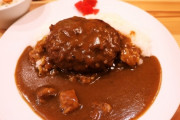 ハンバーグカレーとかいう夢のような食べ物