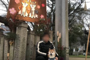 散歩中によく賢そうな犬やねぇって言われるが【再】