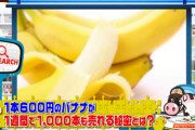 【画像】深田さん、皮ごと食べられるバナナです　深田恭子「むきたい…」