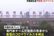 中国の謎の肺炎、新型コロナウイルスだった　ヤバイ