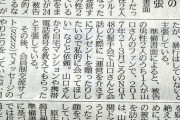 一流メディア「山口真帆の自作自演を匂わせるNGT48民事裁判、矛盾がすさまじい」