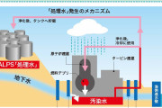 反日に酔ってりゃ気持ちいいんだろ　～　【韓国】福島原発汚染水の放出は、東アジア全体の市民の健康と海洋生態系に元に戻せない影響を及ぼす
