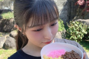 【AKB48】チーム8行天優莉奈ちゃんの家が結構なお屋敷でびっくり行天