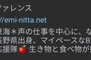 【画像】えみつん、Twitterのプロフィール変更。