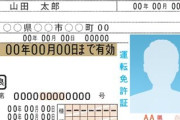 彡(●)(●)「就活で免許は必須。友人は免許無くて書類選考落とされた」