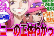 【衝撃】ONE PIECEの『ボニー』、ビッグマムのクローン説が浮上してしまう！！！！！
