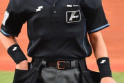 【野球】白井球審　騒動経て対応に“変化”も毅然と退場宣告　報道陣にも冷静に説明