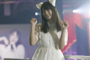日向坂46、猫耳選手権開催！！！