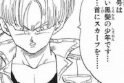 【ドラゴンボール】未来のトランクスが17号、18号のことを説明する時の理不尽な描写