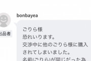 メルカリワイ「2000円の値下げお願いします」敵「表示されてる値段て購入します」