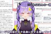 Vtuber 兎鞠まりのコーンが凶悪すぎることが良くわかる画像がこちらｗｗｗｗｗｗｗｗ【画像】