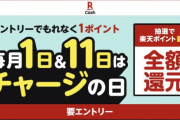 楽天PAY、PayPayとの戦いに満身創痍ながら勝利するｗｗｗｗｗｗｗ