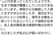 【画像】元潤羽るしあ こと みけねこさん、自殺未遂騒動についてお気持ち表明