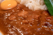 カレーに生卵入れる人いるでしょ