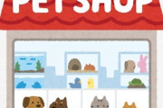ペットショップってなんで批判されてるんや？