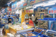 【韓国】処理水海洋放出決定、韓国の水産市場は早くも客足途絶える