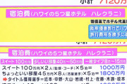 ●億４６００万円ｗｗｗｗこれハワイ旅行にかけた金額ねｗｗｗｗ