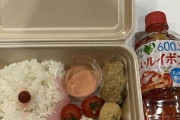 【画像】このしょぼしょぼお弁当に出せる値段の限界www