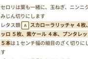 義弟が来るというのでたまには本格的なミネストローネスープでも、と思ったのだけど…