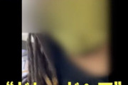 “ドレッドヘア”という理由で警察官に職務質問を受ける様子を撮影した動画が物議に…髪型で職質は差別？