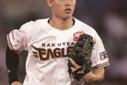 【悲報】辰巳外野手、無所属