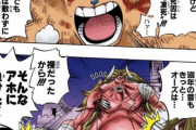 【ワンピース】のオーズとかいうおっちょこちょいｗｗｗｗｗｗ
