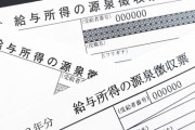 なんG民「年末調整なんて数分で終わる。あんなのに時間かけるやつは馬鹿」