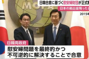 【？】韓国「慰安婦合意の際、政府間でどんな合意をしても意味がない事を経験した」「日本も解決策を示して韓国に協力しろ」